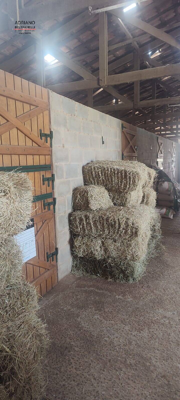 Fazenda à venda com 5 quartos, 200000m² - Foto 46