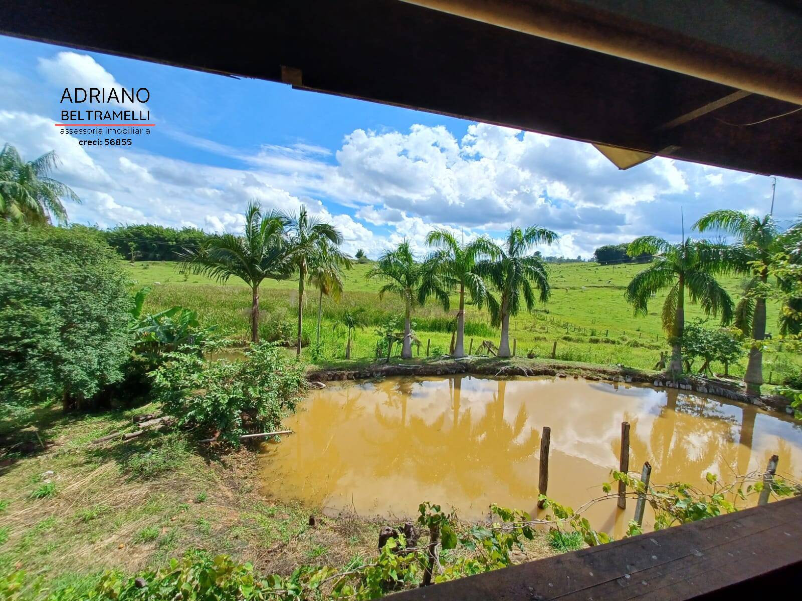 Sítio à venda com 5 quartos, 36000m² - Foto 1