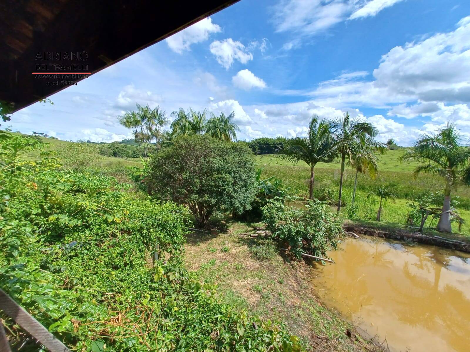 Sítio à venda com 5 quartos, 36000m² - Foto 2