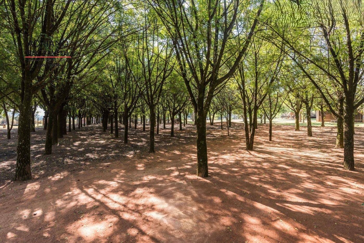 Sítio à venda com 7 quartos, 28000m² - Foto 14