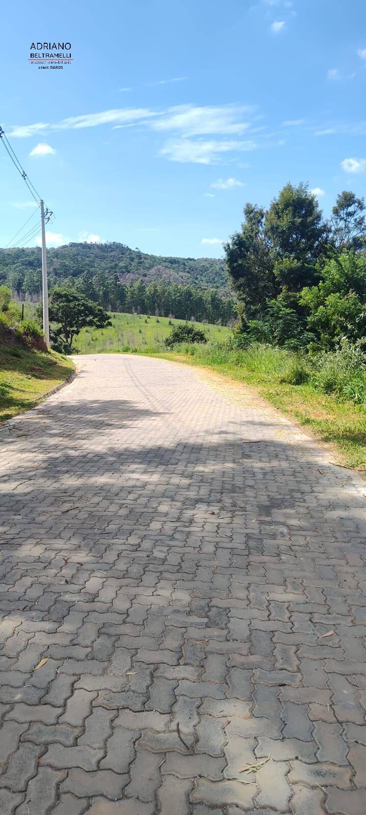 Terreno, 2 hectares - Foto 4