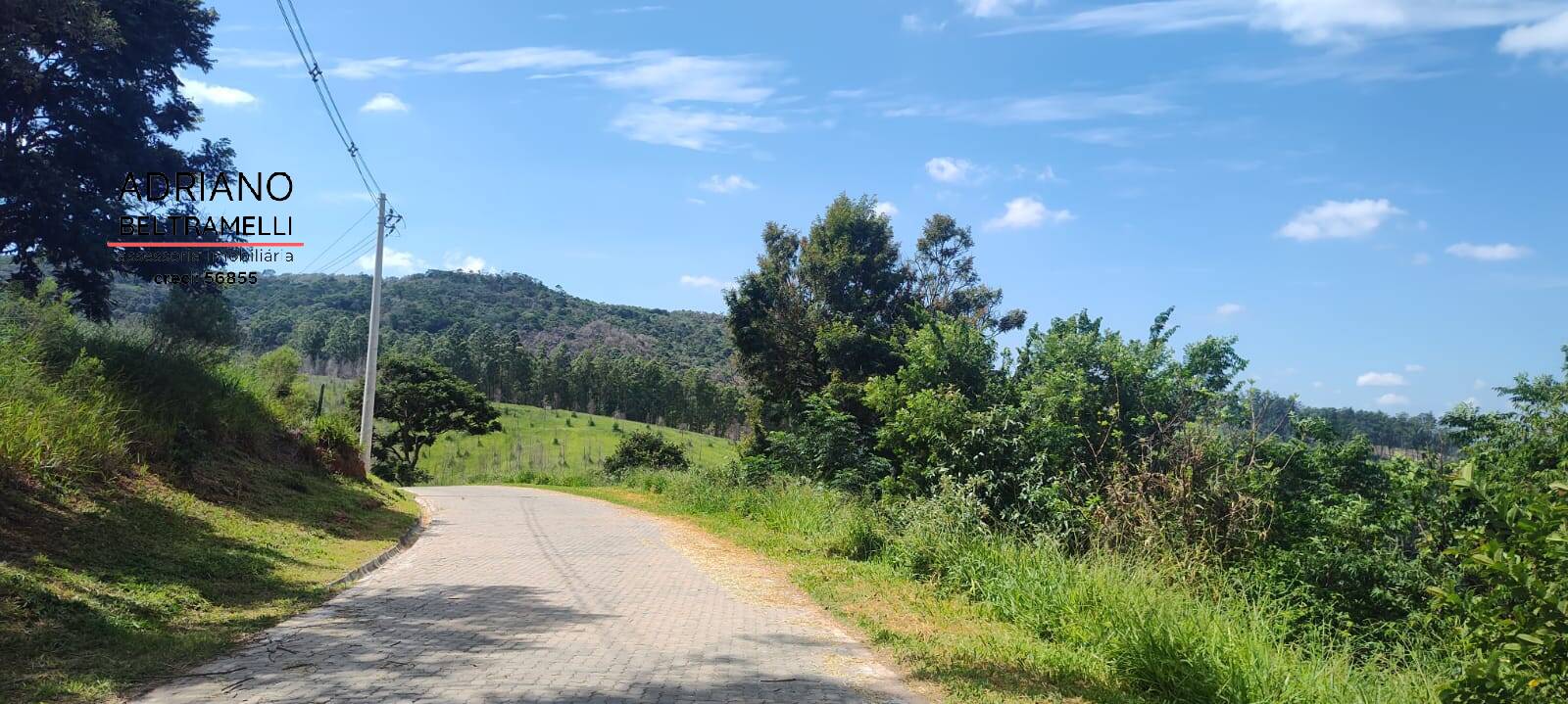 Terreno, 2 hectares - Foto 5