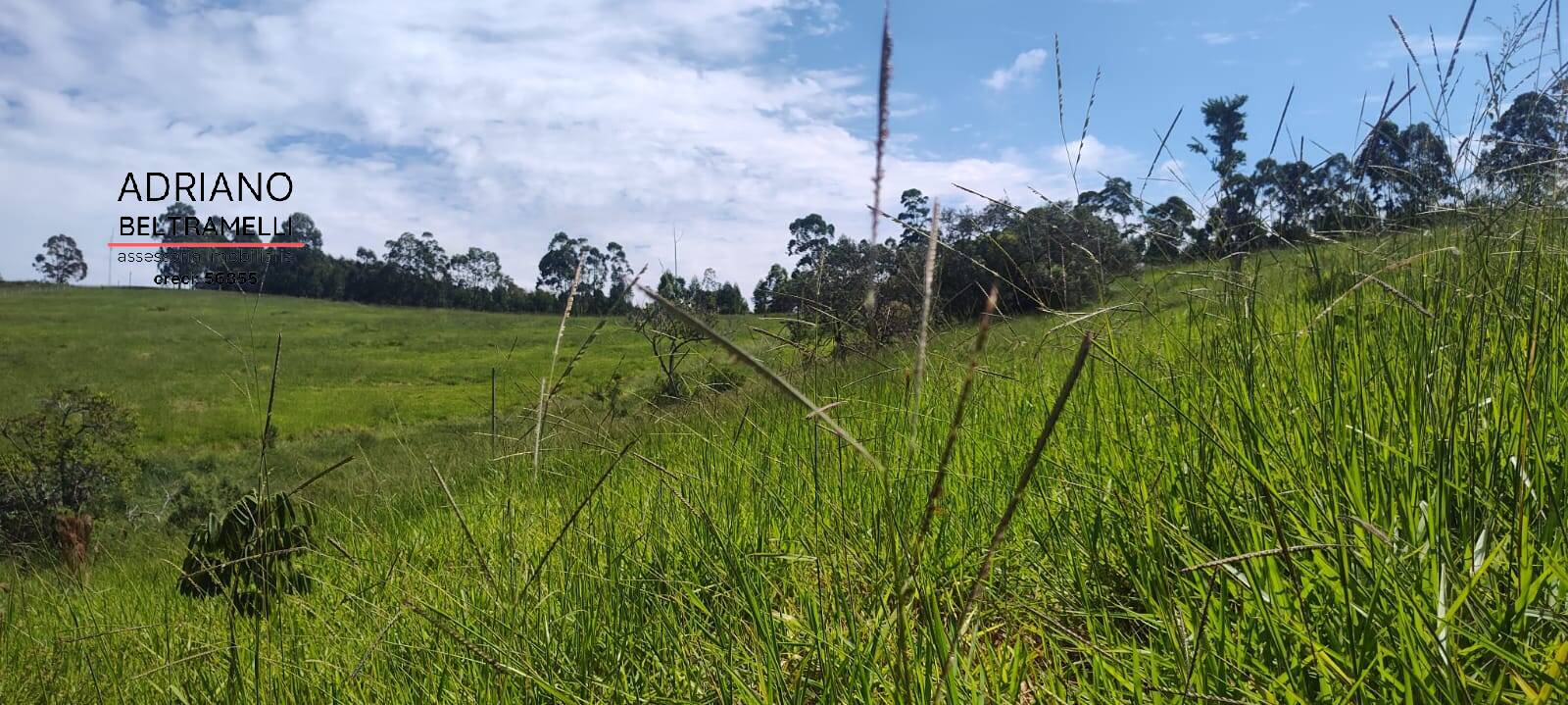 Terreno, 2 hectares - Foto 8