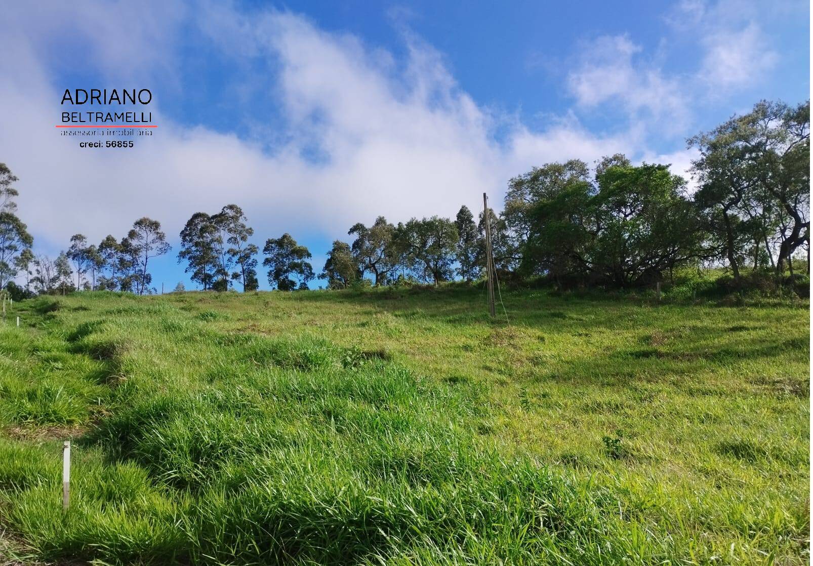 Terreno, 2 hectares - Foto 9