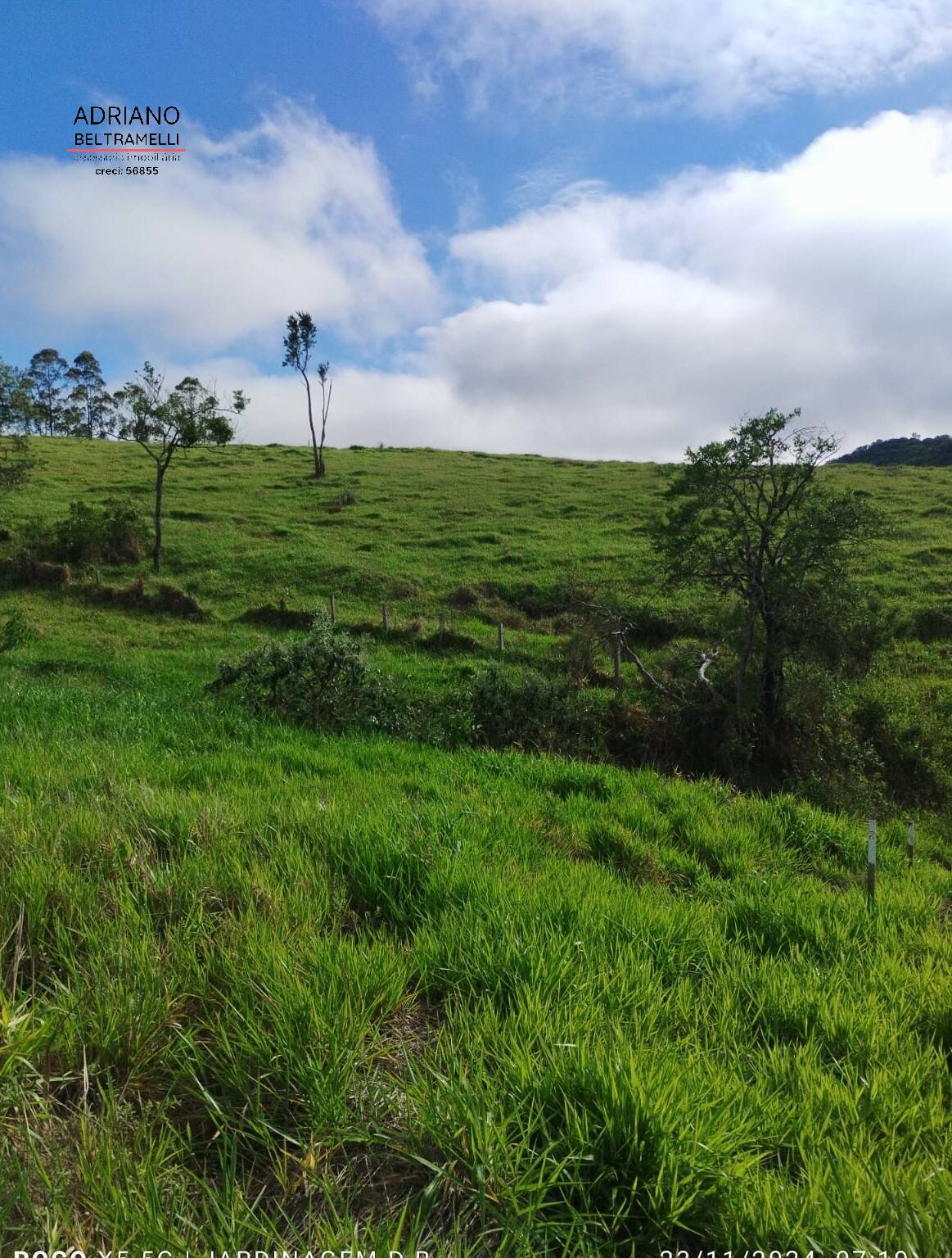 Terreno, 2 hectares - Foto 2