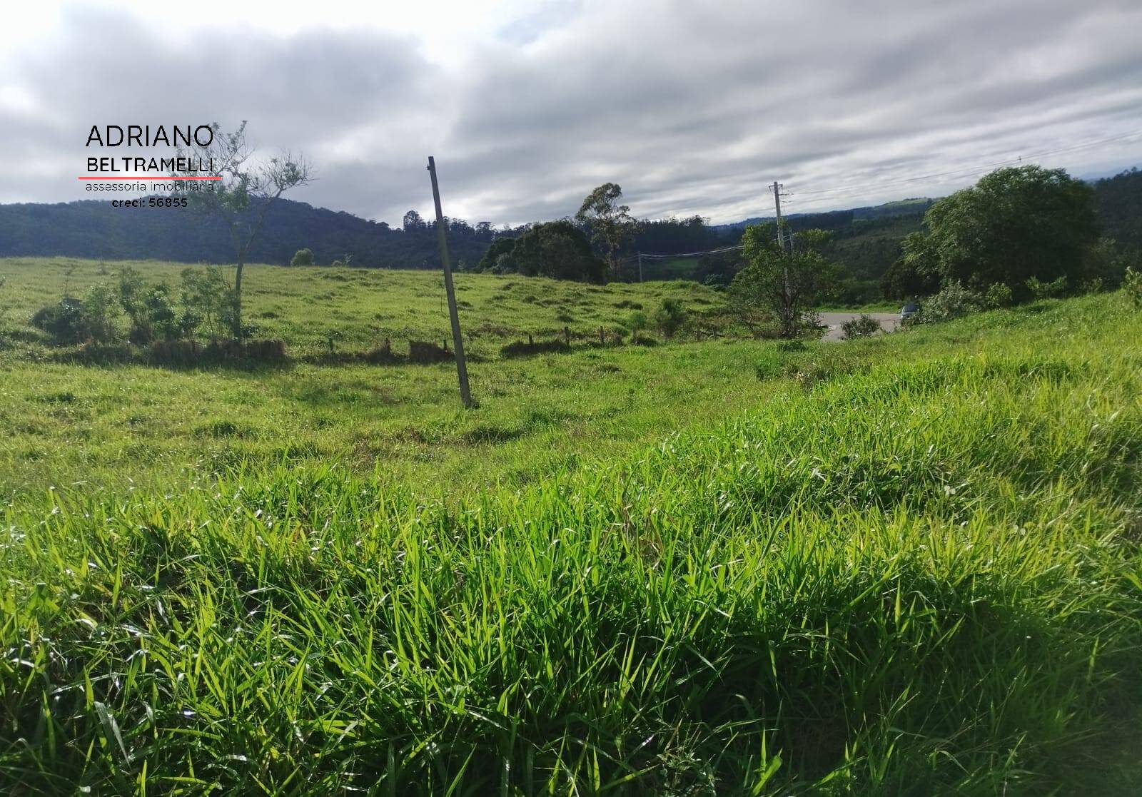 Terreno, 2 hectares - Foto 3