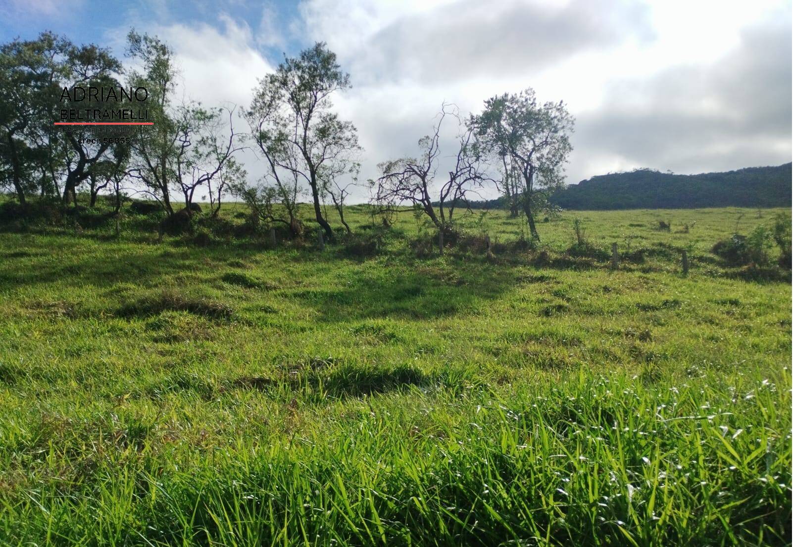 Terreno, 2 hectares - Foto 11