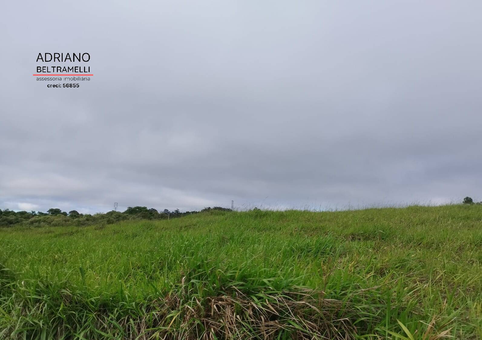 Terreno, 2 hectares - Foto 12