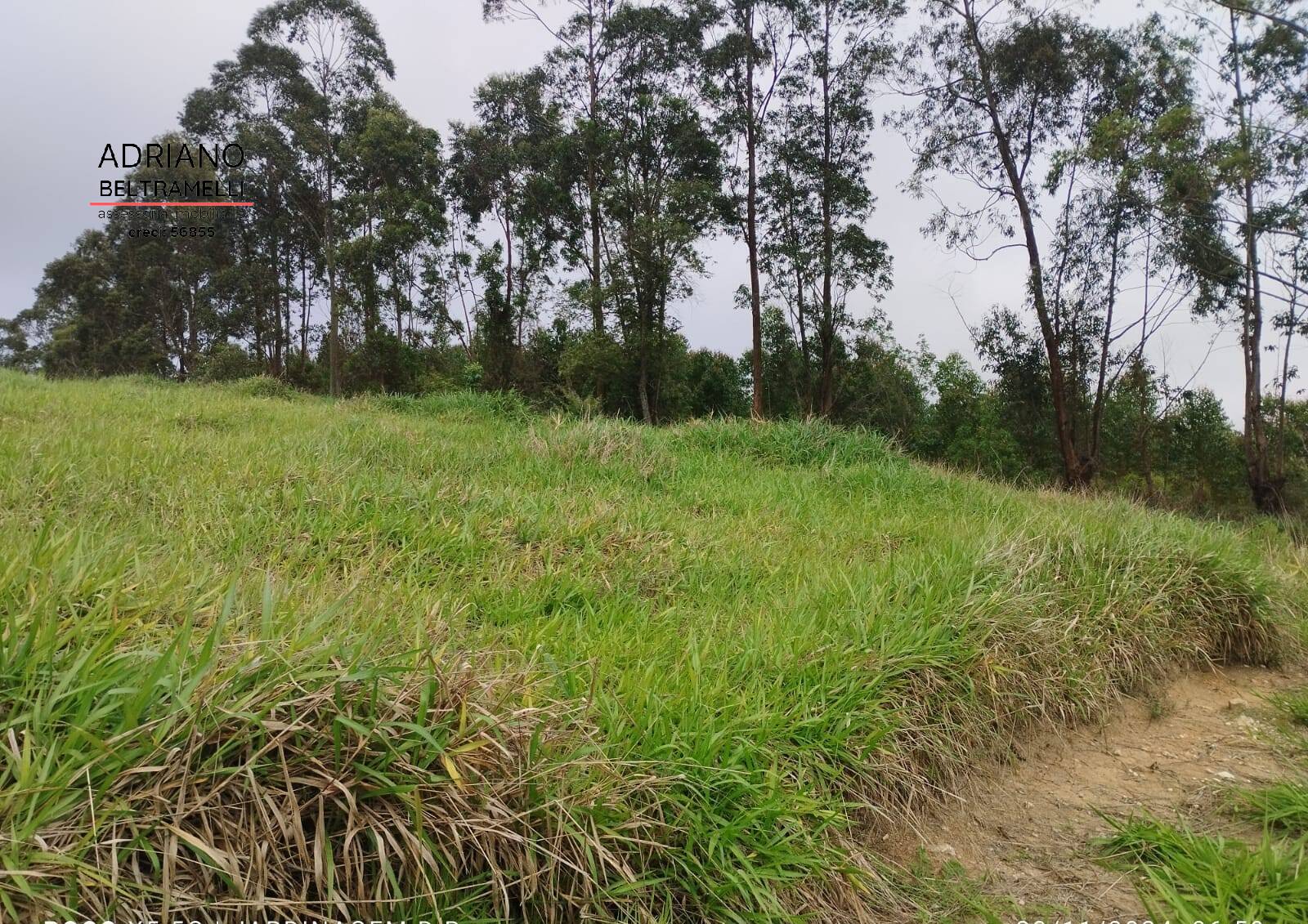 Terreno, 2 hectares - Foto 13