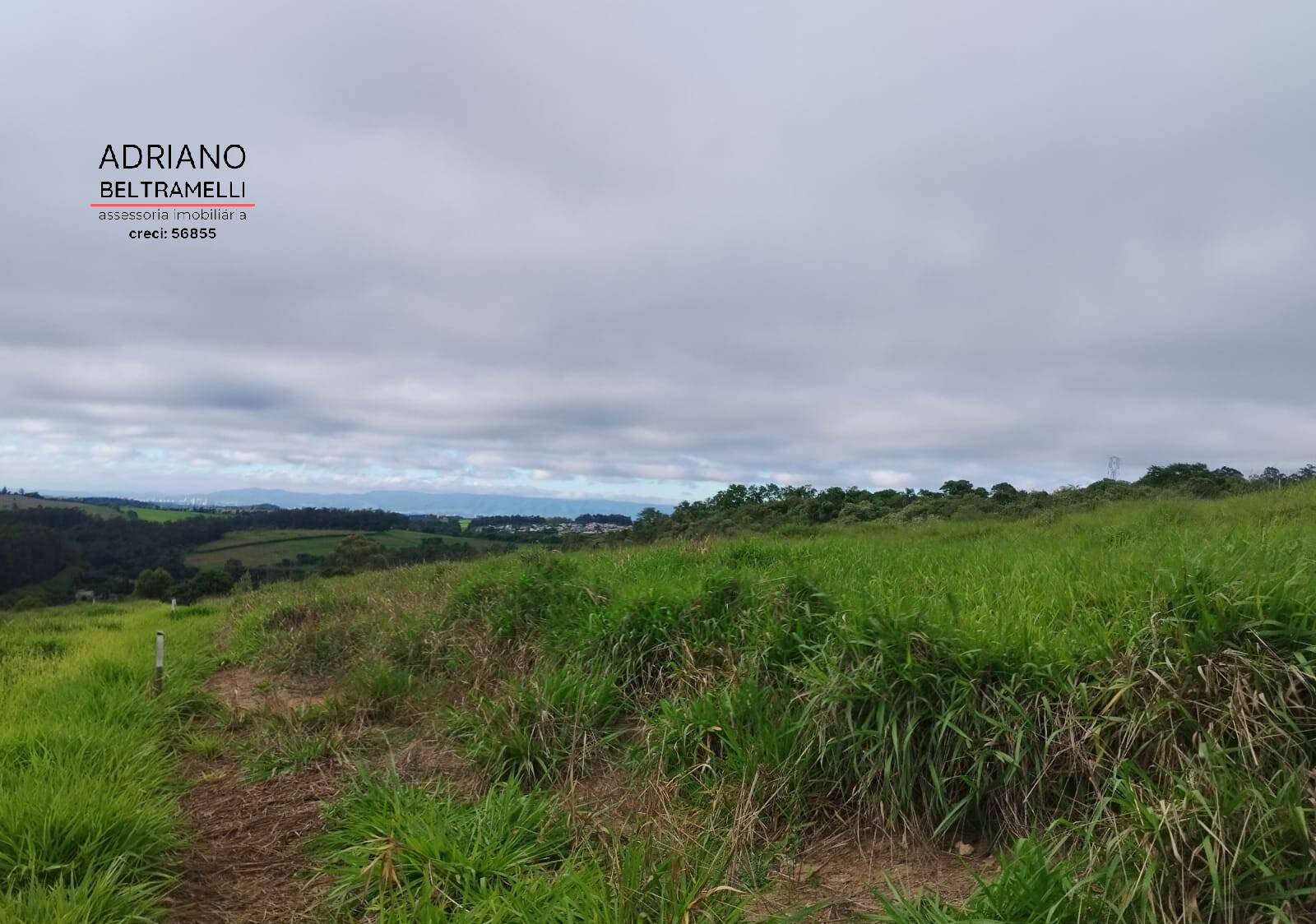 Terreno, 2 hectares - Foto 14