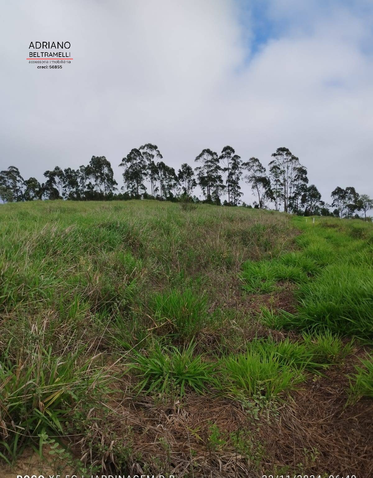 Terreno, 2 hectares - Foto 17