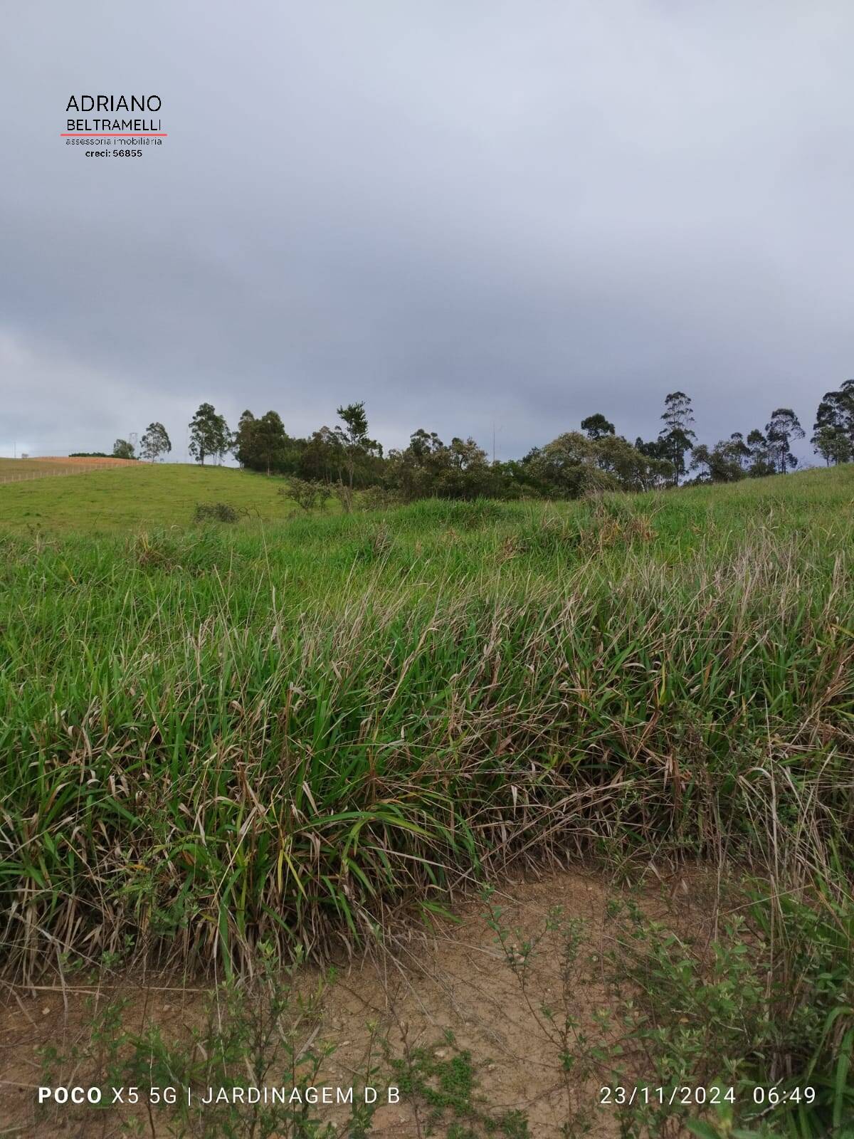 Terreno, 2 hectares - Foto 16