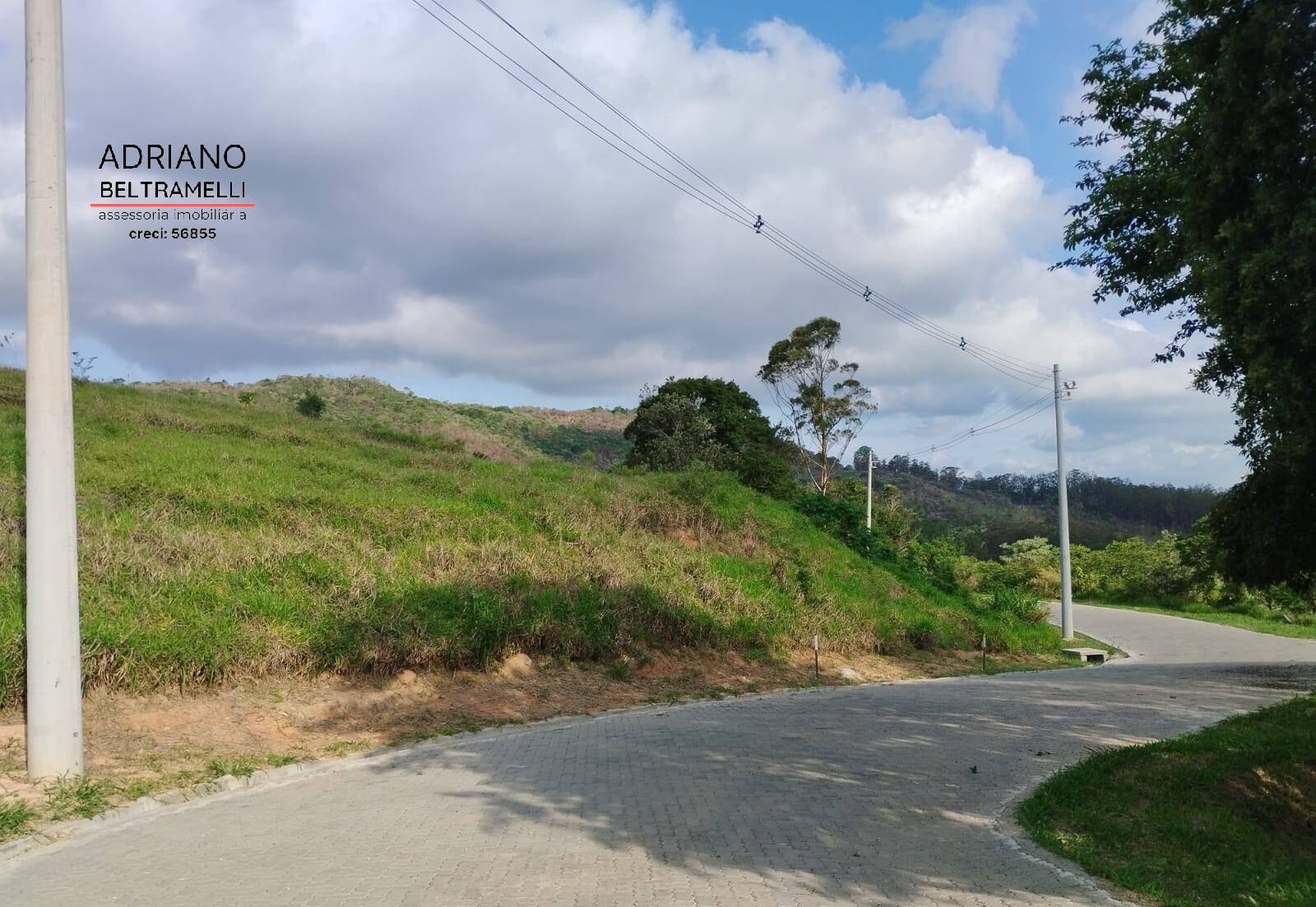 Terreno, 2 hectares - Foto 6