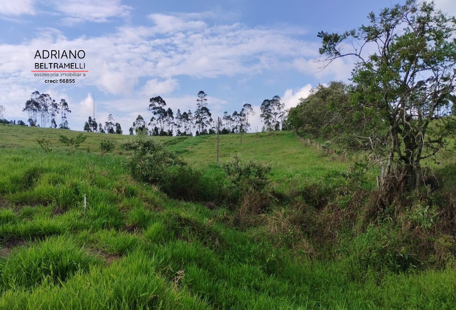 Terreno, 2 hectares - Foto 19