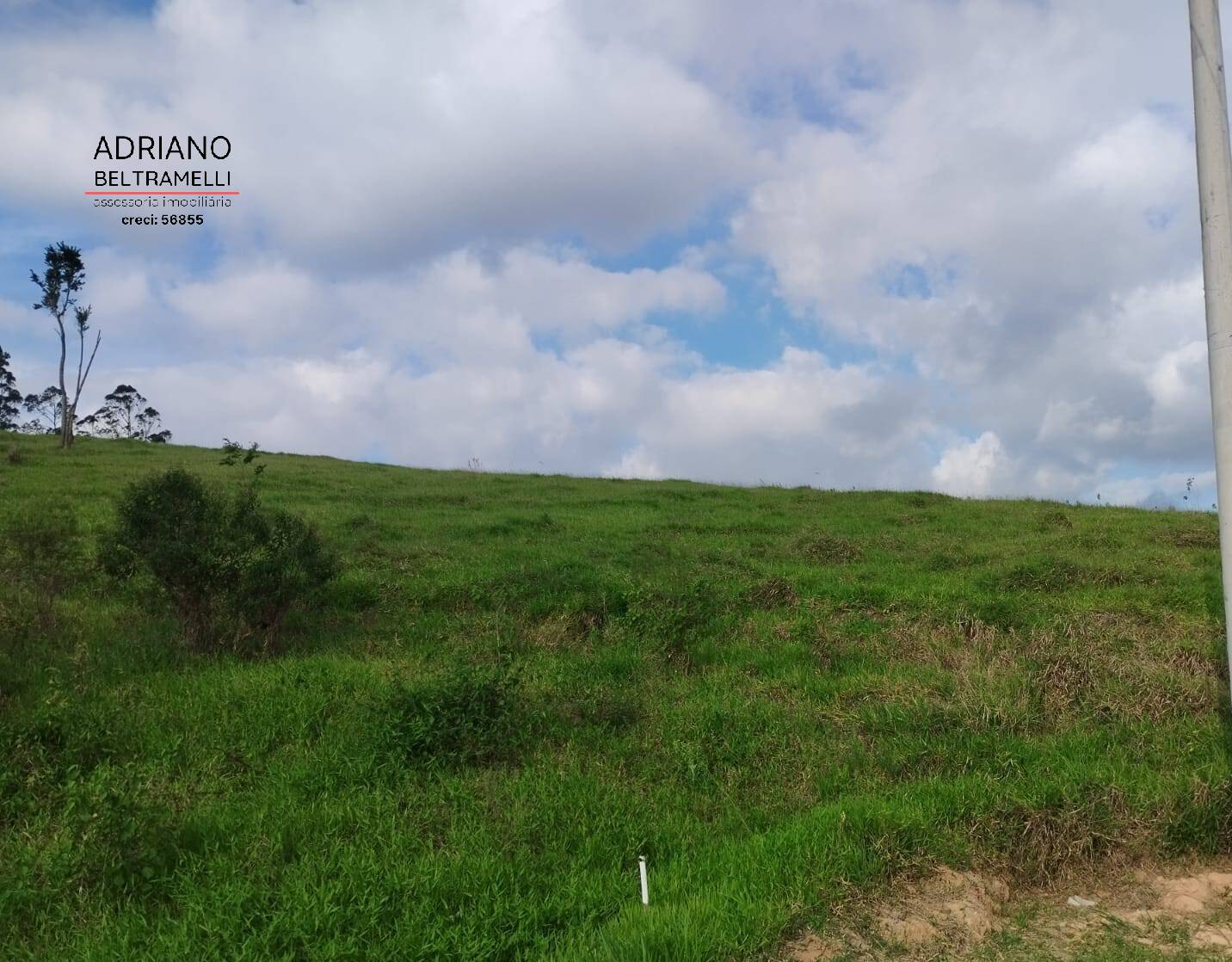 Terreno, 2 hectares - Foto 20