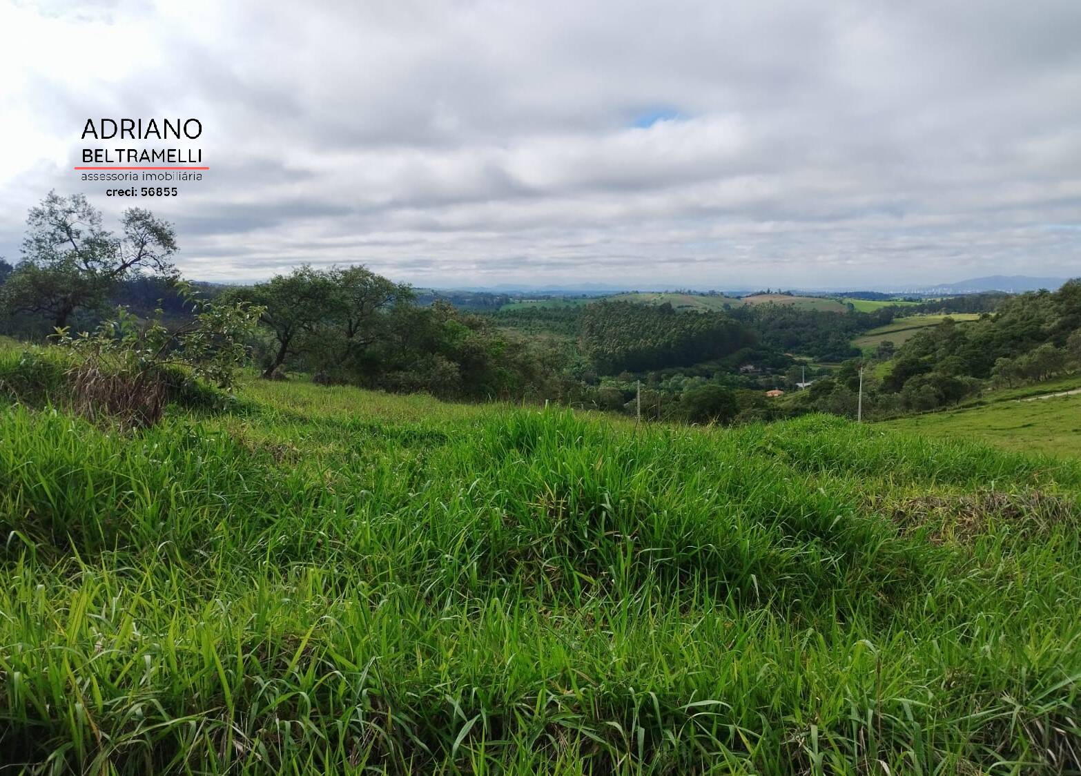 Terreno, 2 hectares - Foto 22