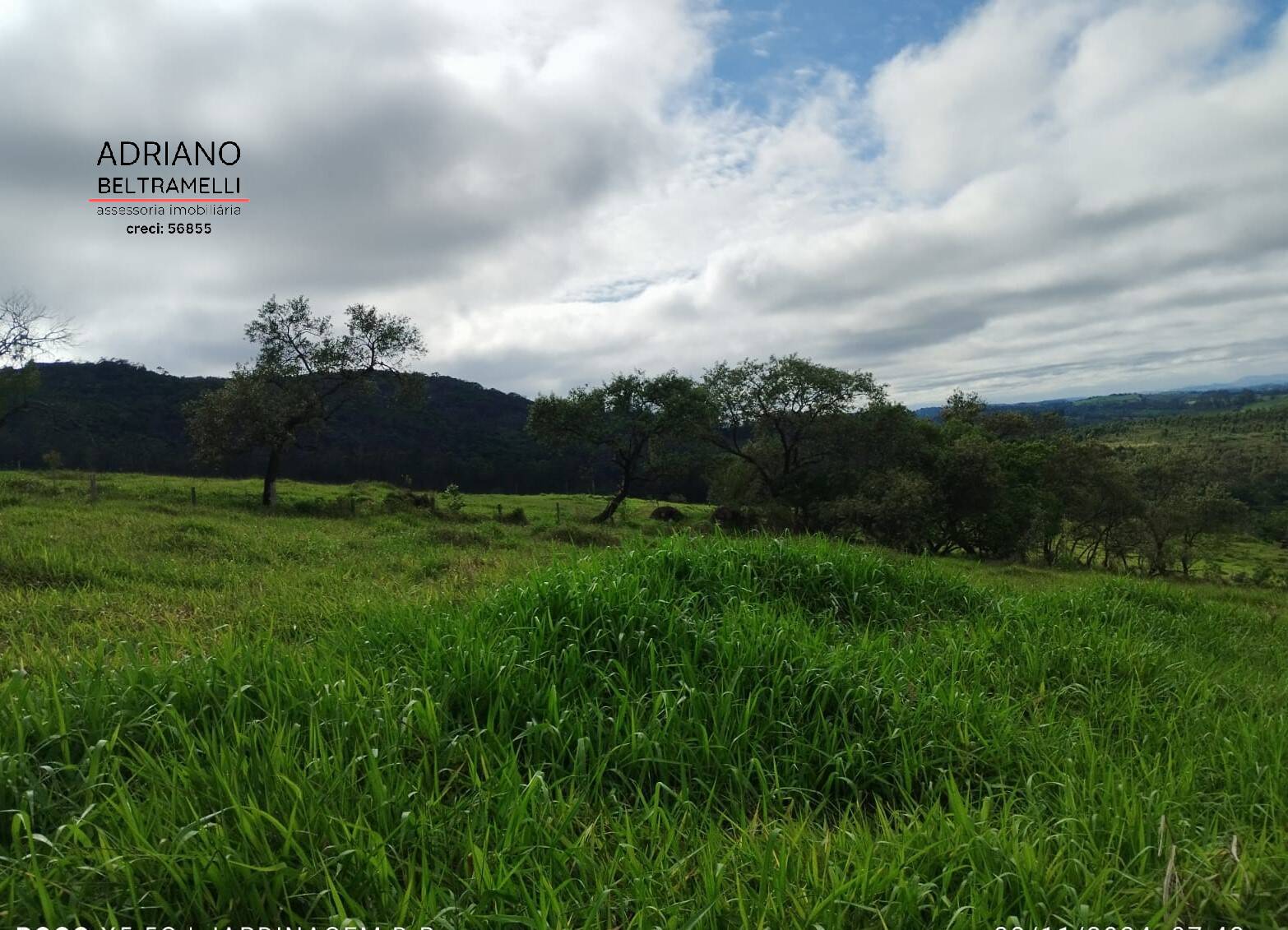 Terreno, 2 hectares - Foto 21