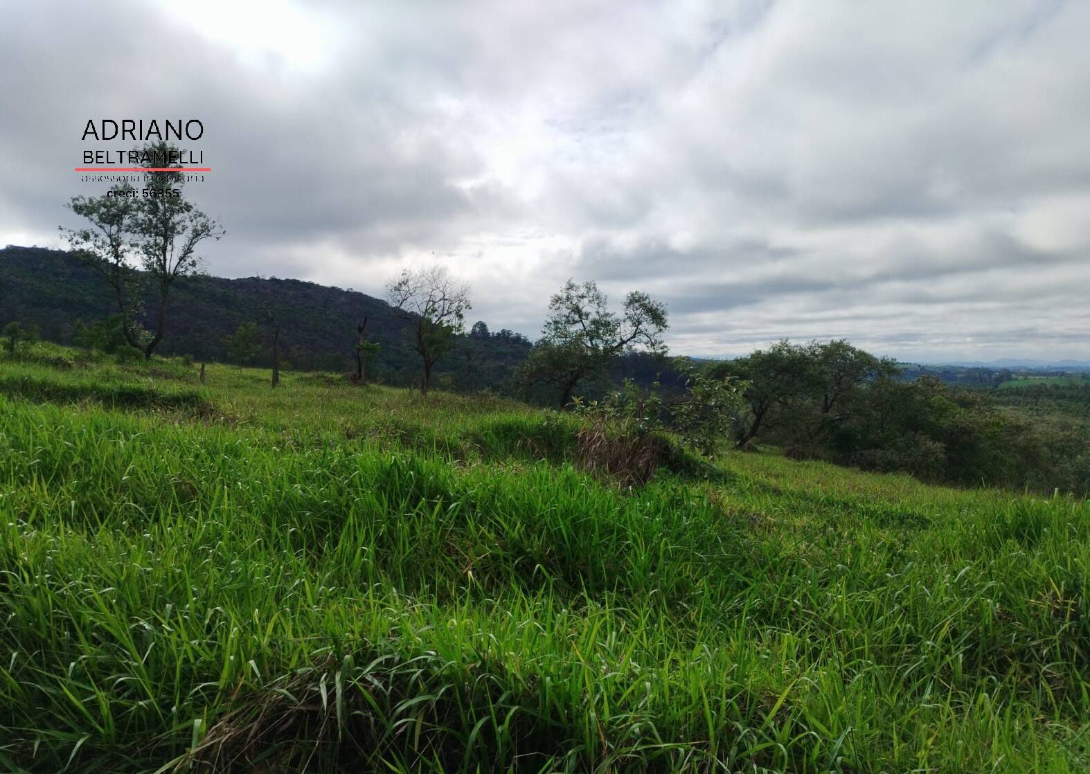 Terreno, 2 hectares - Foto 23