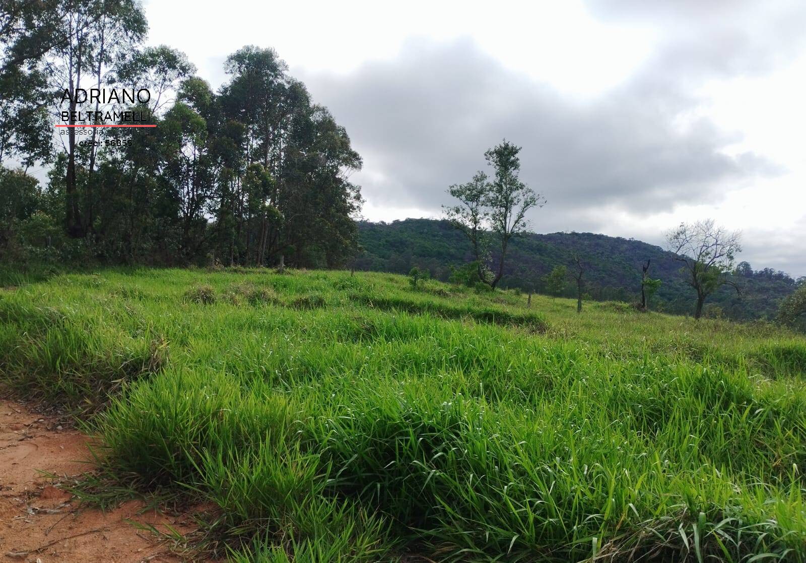 Terreno, 2 hectares - Foto 24