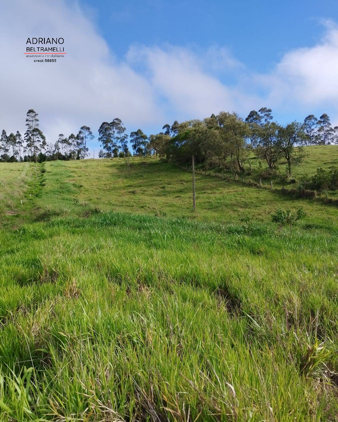 Terreno, 2 hectares - Foto 26