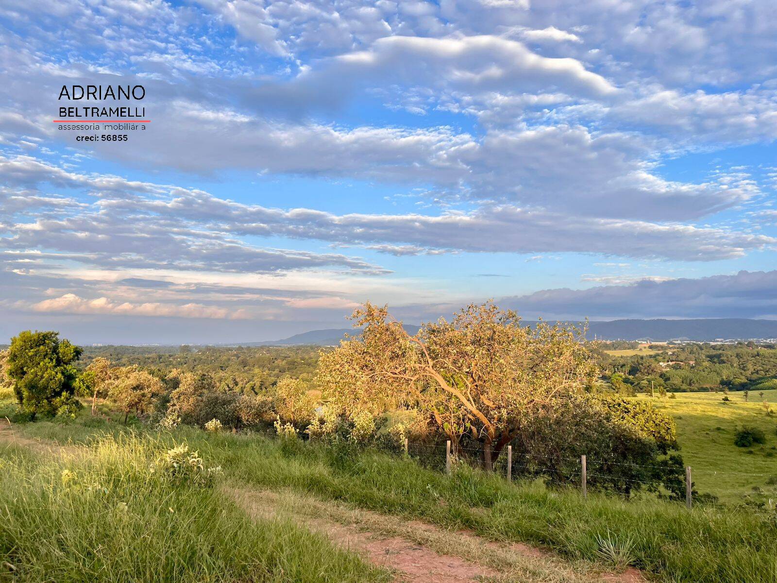 Terreno, 2 hectares - Foto 19