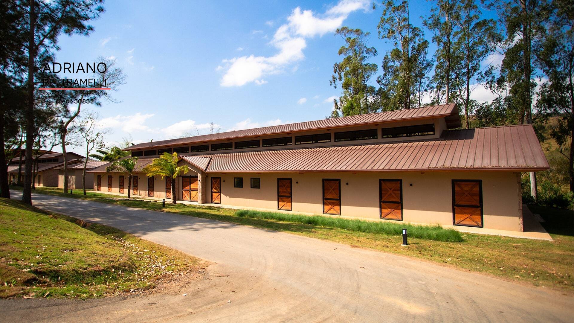 Terreno, 3 hectares - Foto 7