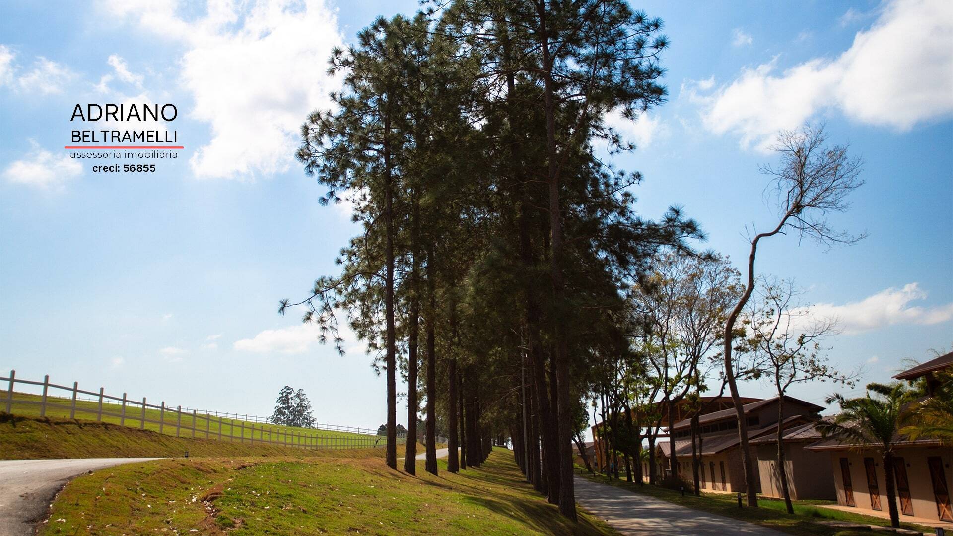 Terreno, 3 hectares - Foto 8