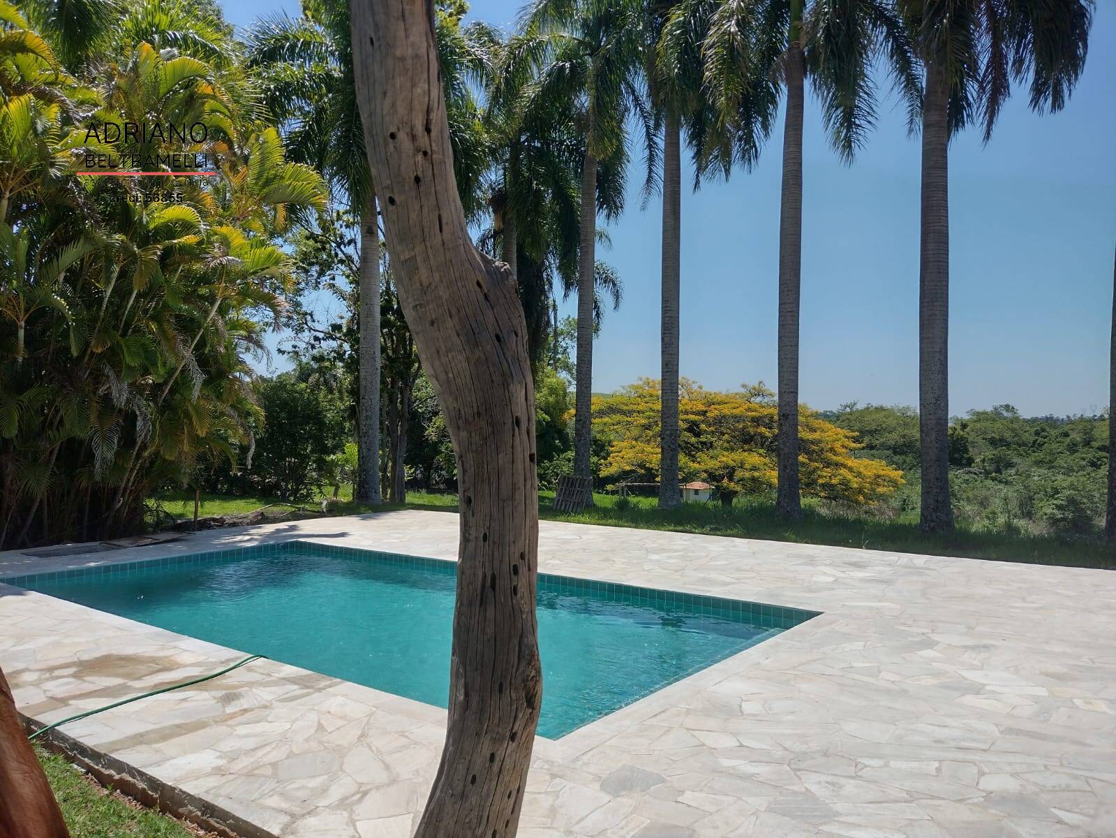 Chácara à venda com 3 quartos, 20025m² - Foto 13