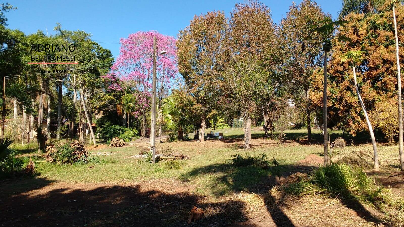 Chácara à venda com 3 quartos, 20025m² - Foto 18