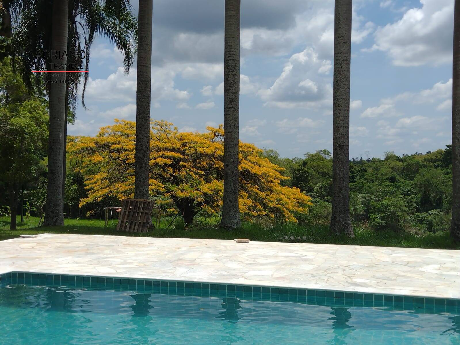 Chácara à venda com 3 quartos, 20025m² - Foto 25