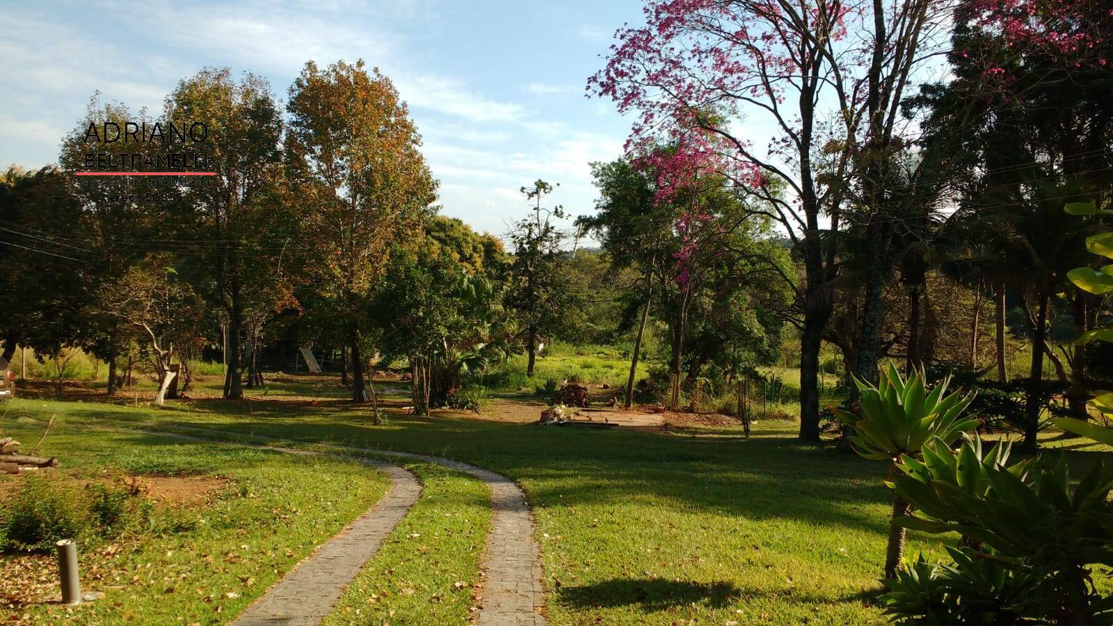 Chácara à venda com 3 quartos, 20025m² - Foto 26