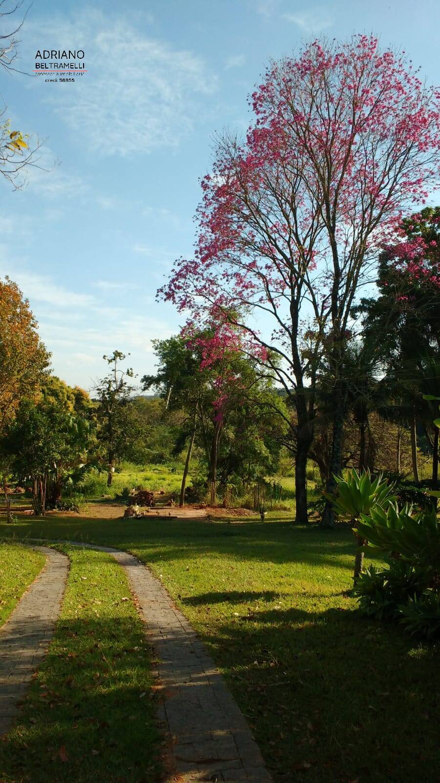 Chácara à venda com 3 quartos, 20025m² - Foto 30