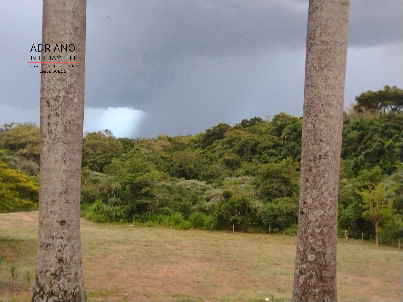 Chácara à venda com 3 quartos, 20025m² - Foto 53