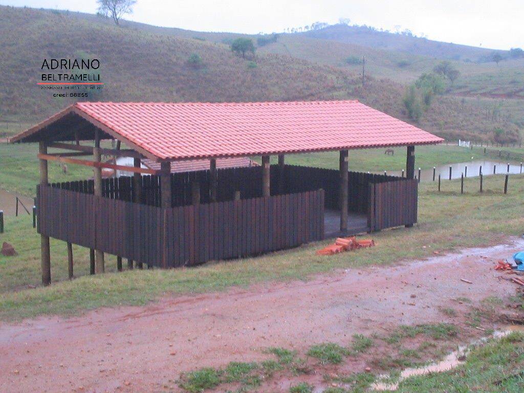Fazenda, 22 hectares - Foto 11