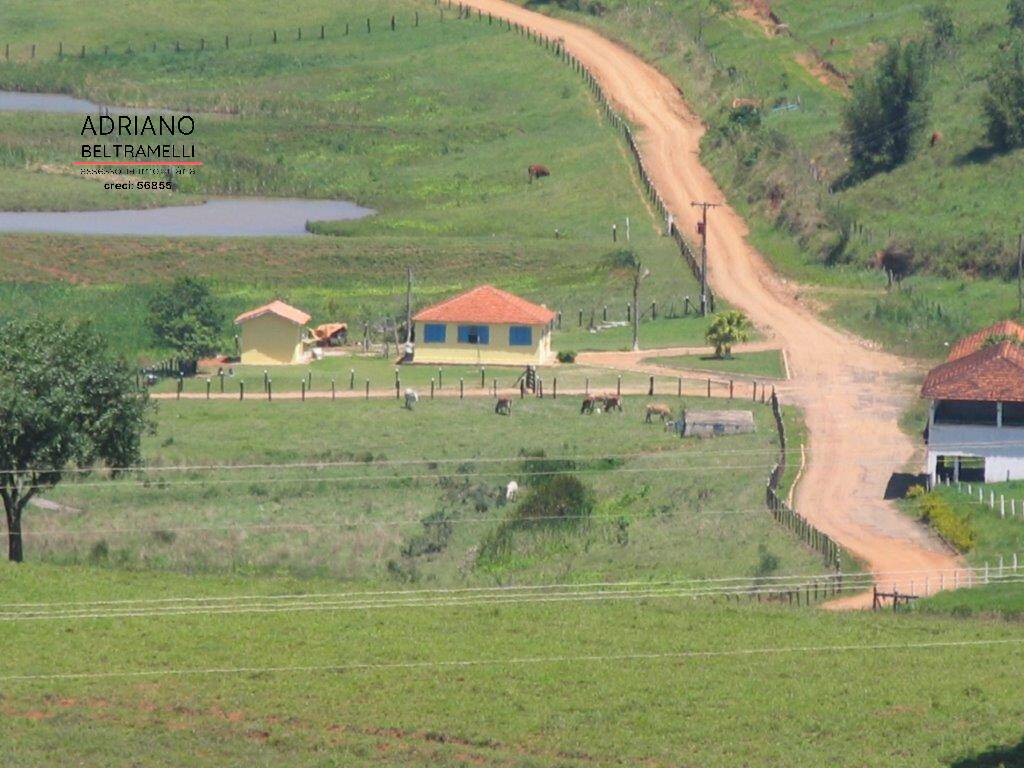 Fazenda, 22 hectares - Foto 8