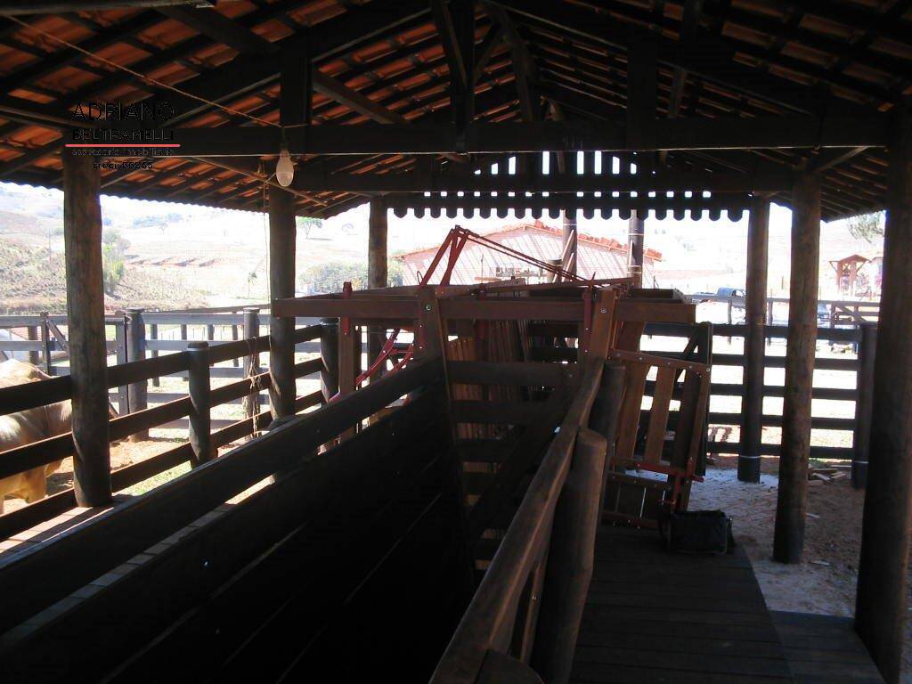 Fazenda, 22 hectares - Foto 19