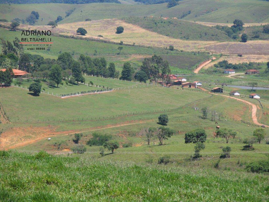 Fazenda, 22 hectares - Foto 31