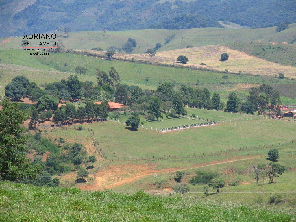 Fazenda, 22 hectares - Foto 34
