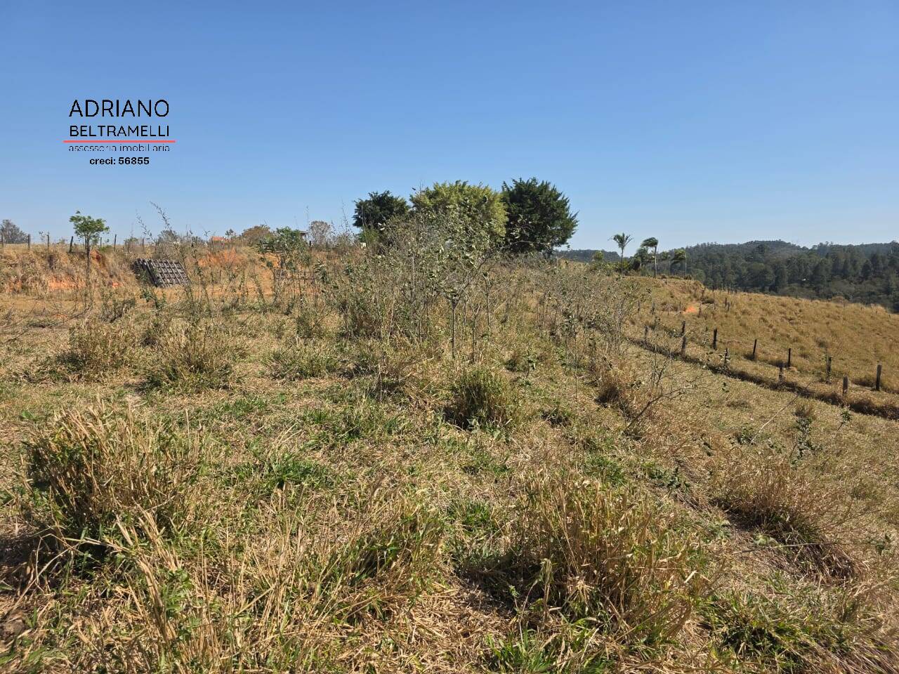 Terreno à venda, 250m² - Foto 11