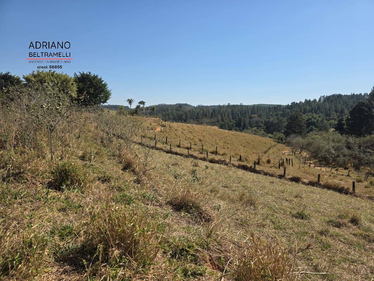 Terreno à venda, 250m² - Foto 12