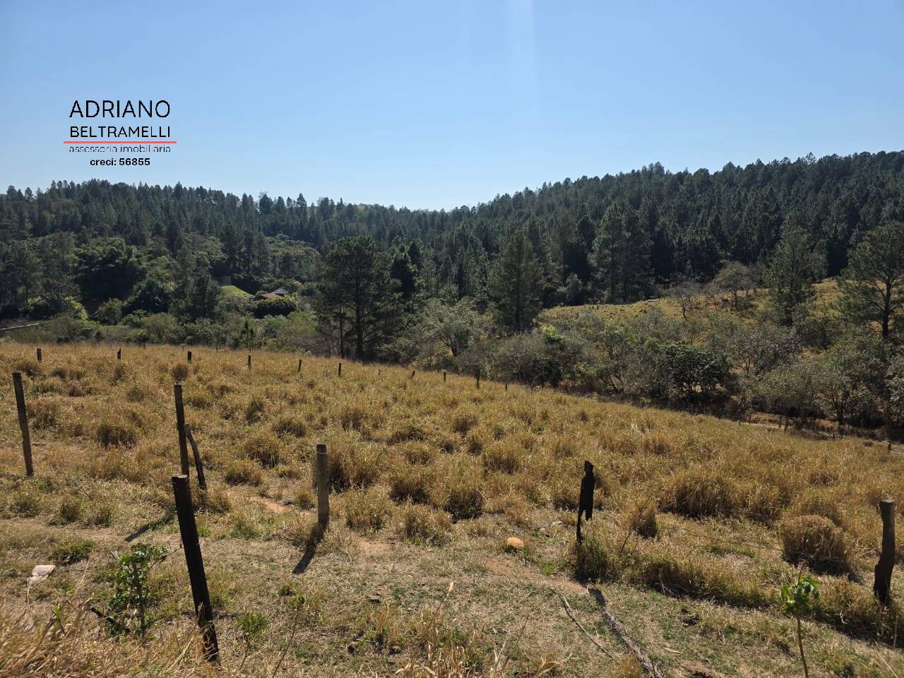 Terreno à venda, 250m² - Foto 1
