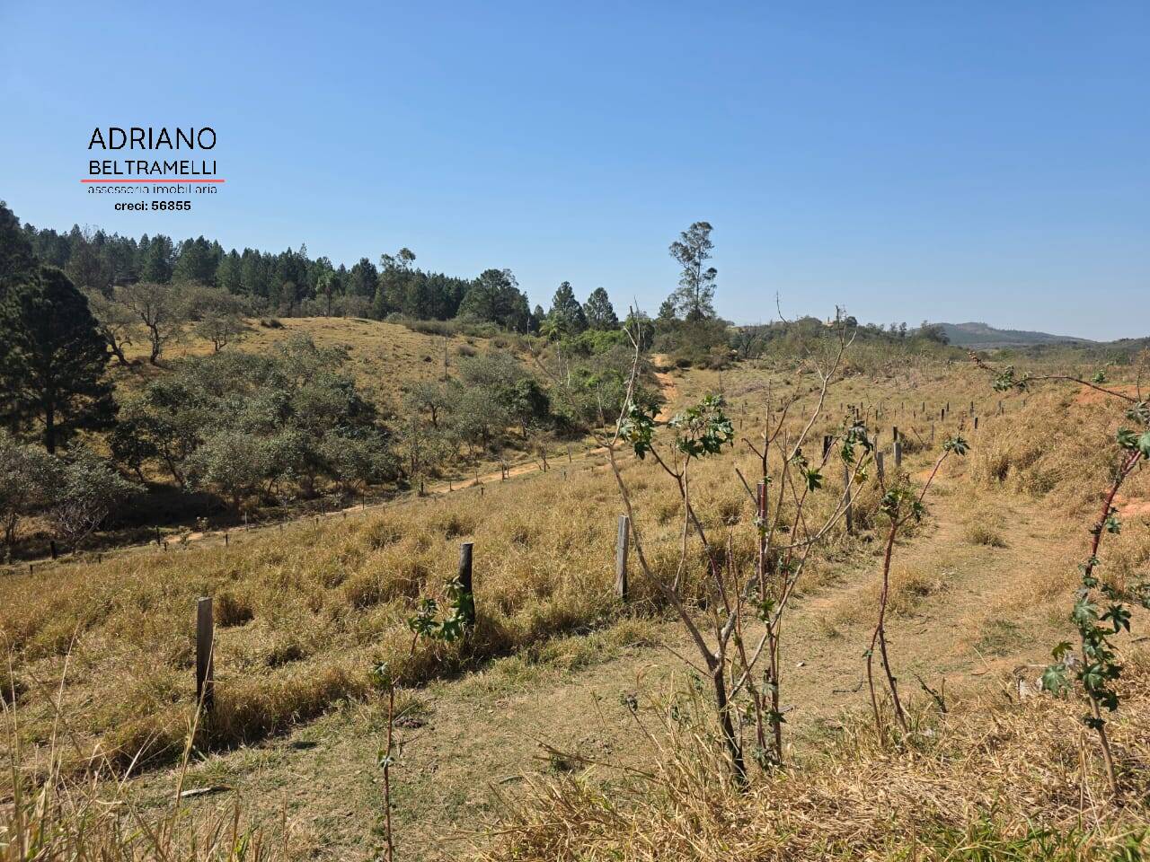 Terreno à venda, 250m² - Foto 2