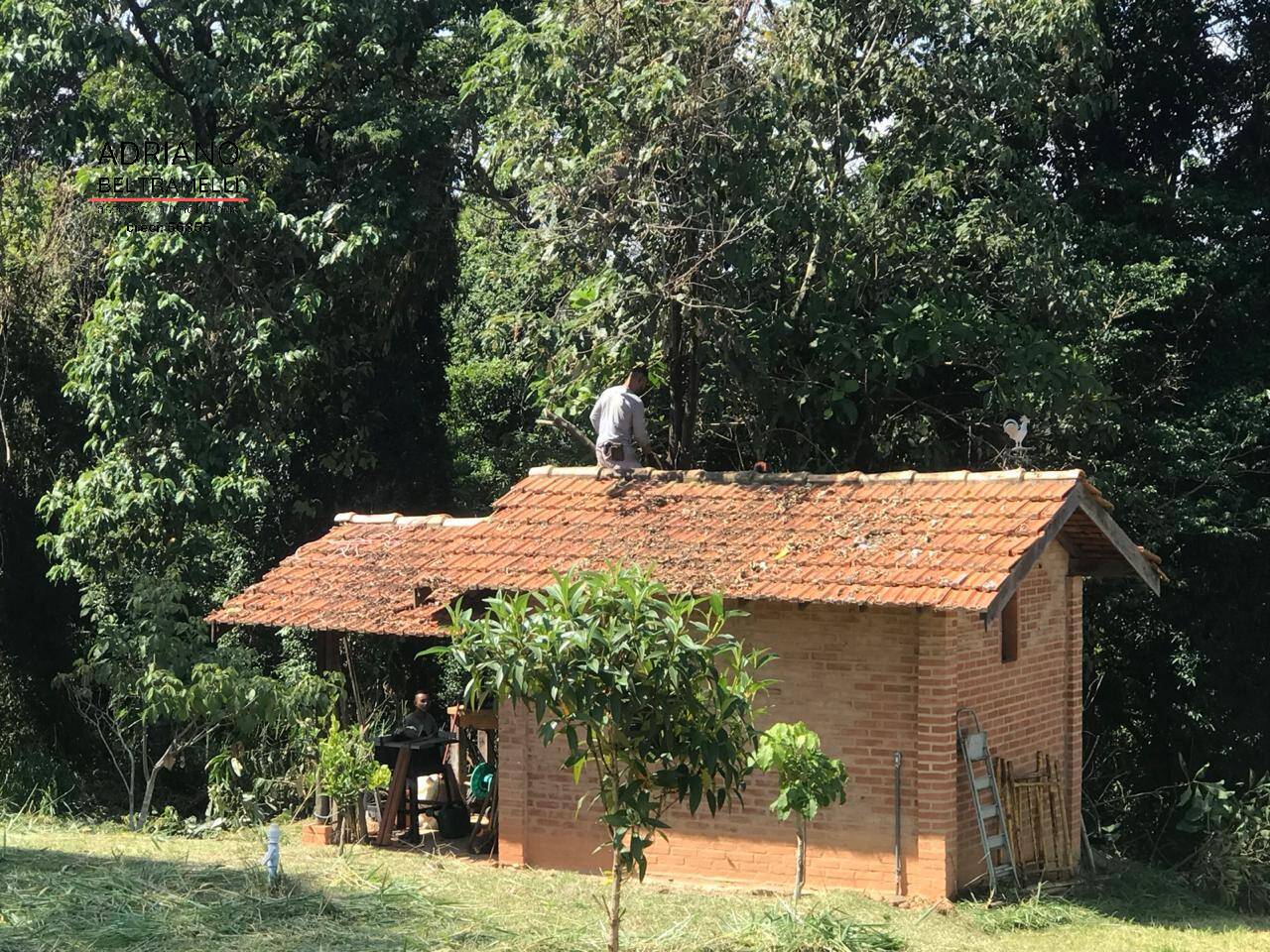 Sítio, 5 quartos, 5 hectares - Foto 3