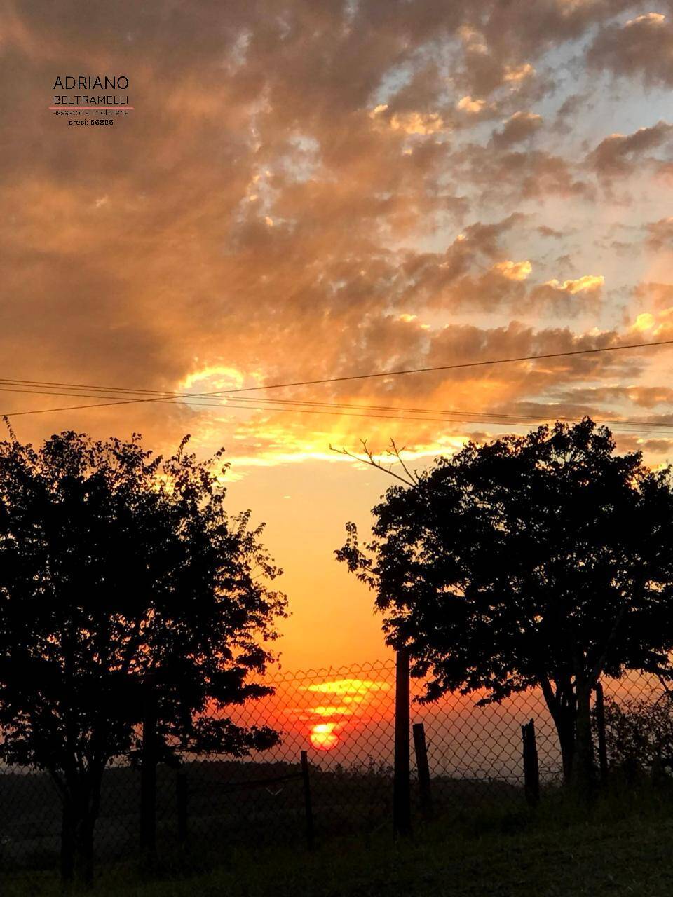 Sítio, 5 quartos, 5 hectares - Foto 11