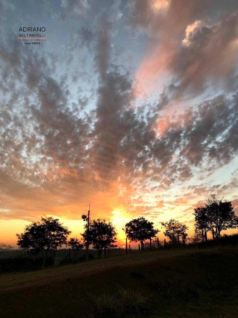 Sítio, 5 quartos, 5 hectares - Foto 12