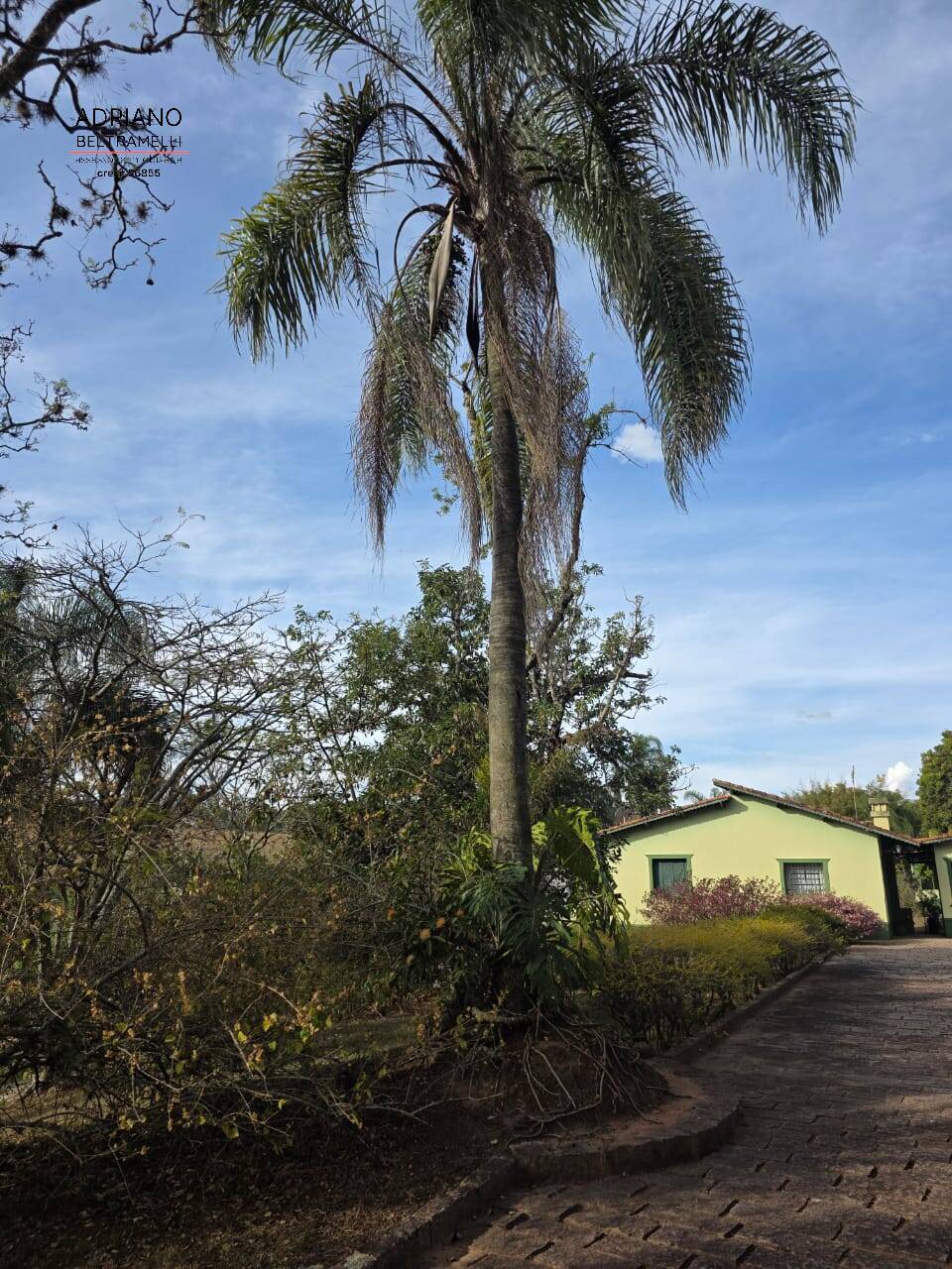 Terreno, 500 m² - Foto 65