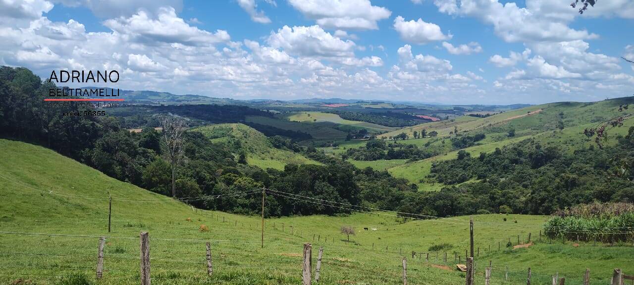 Sítio, 3 quartos, 27 hectares - Foto 11