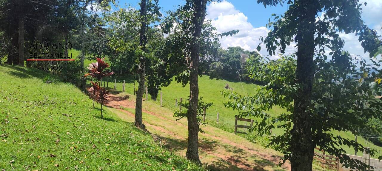 Sítio, 3 quartos, 27 hectares - Foto 12