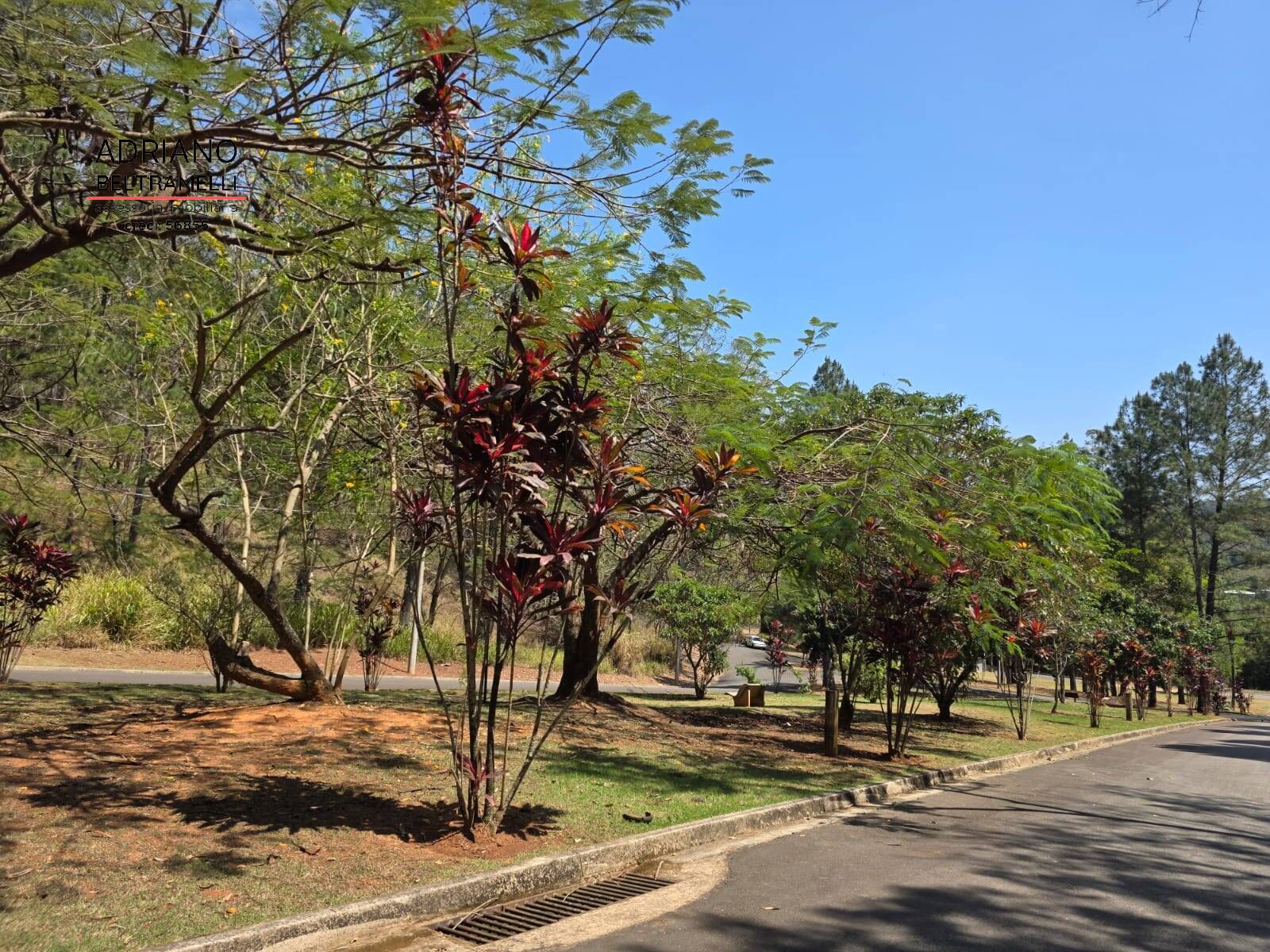 Terreno, 2170 m² - Foto 8