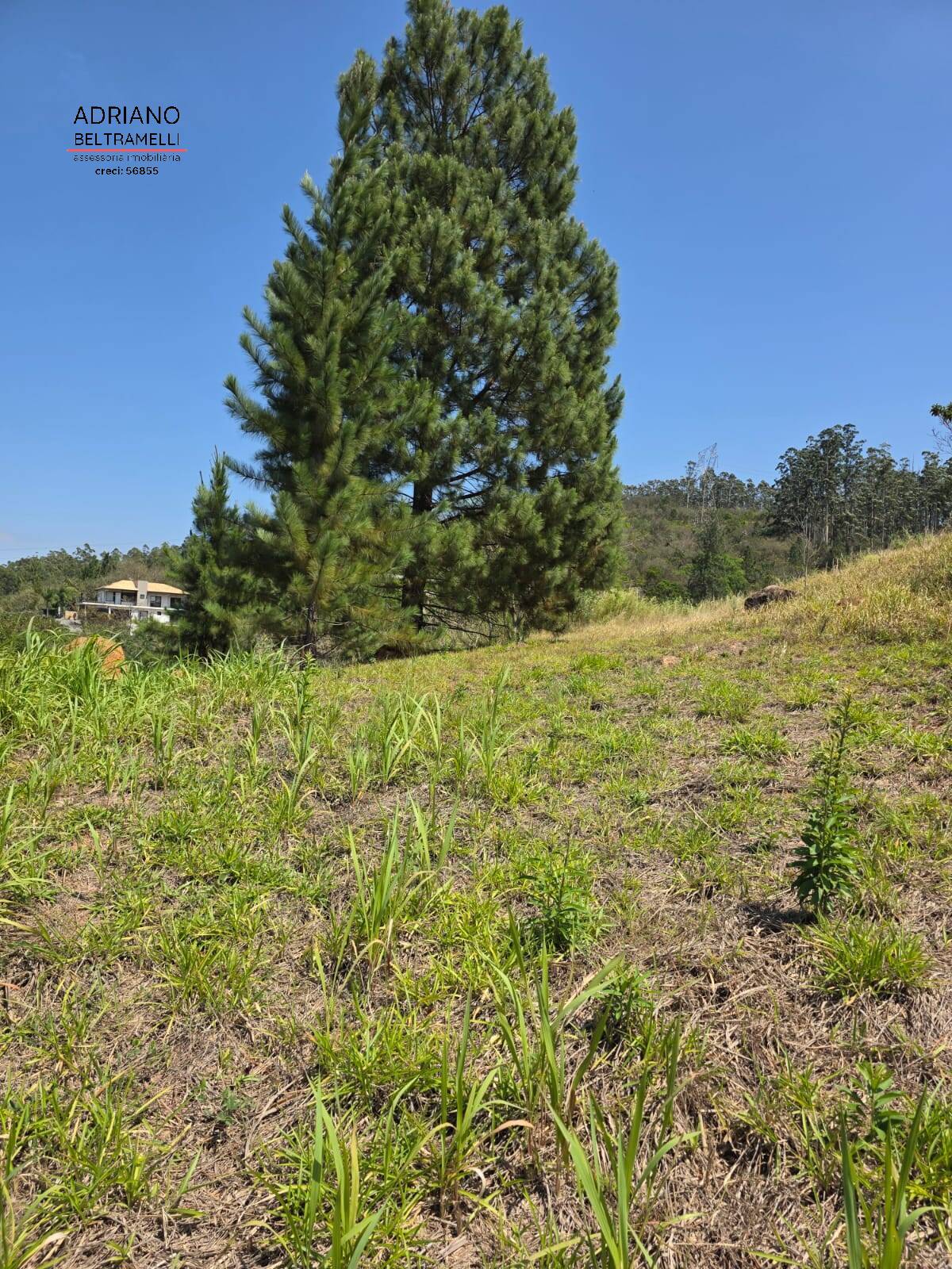 Terreno, 2170 m² - Foto 11